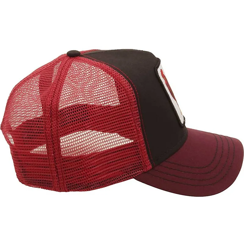 curva-snapback-the-farm-goorin-bros