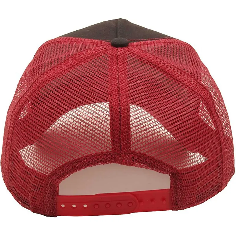 curva-snapback-the-farm-goorin-bros