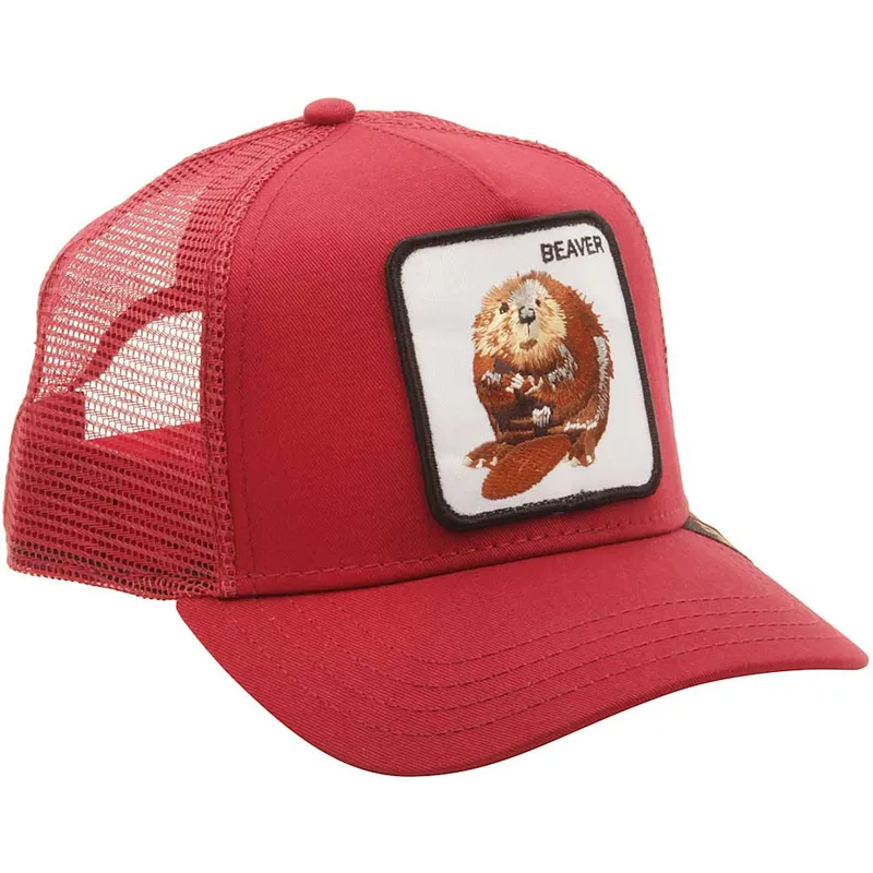 curva-snapback-the-farm-goorin-bros