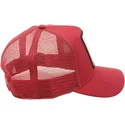 curva-snapback-the-farm-goorin-bros