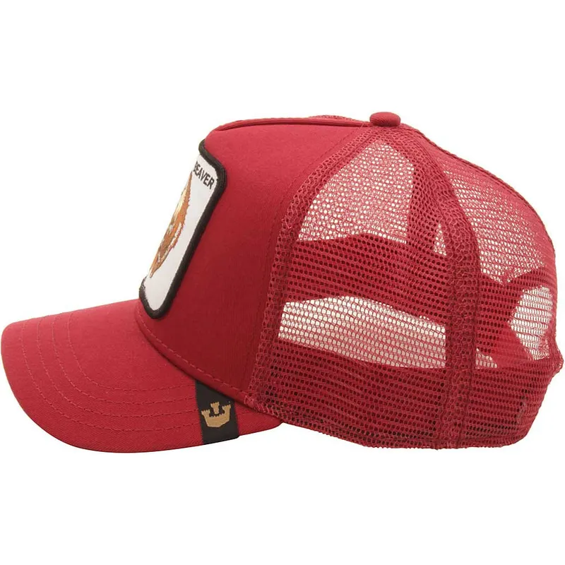 curva-snapback-the-farm-goorin-bros