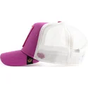 curva-snapback-the-farm-goorin-bros