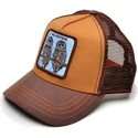 curva-snapback-the-farm-goorin-bros