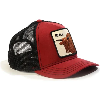 curva-snapback-the-farm-goorin-bros