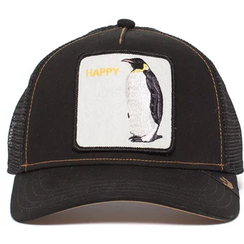 curva-snapback-the-farm-goorin-bros