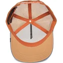 curva-snapback-the-farm-goorin-bros
