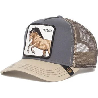 curva-snapback-the-farm-goorin-bros