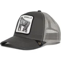 curva-snapback-the-farm-goorin-bros