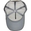 curva-snapback-the-farm-goorin-bros