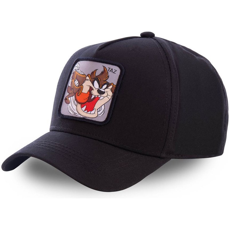 Capslab Curved Brim Tasmanian Devil TAZ6 Looney Tunes Black Snapback ...