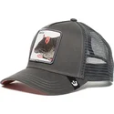 curva-snapback-the-farm-goorin-bros