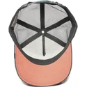 curva-snapback-the-farm-goorin-bros