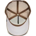 curva-snapback-the-farm-goorin-bros