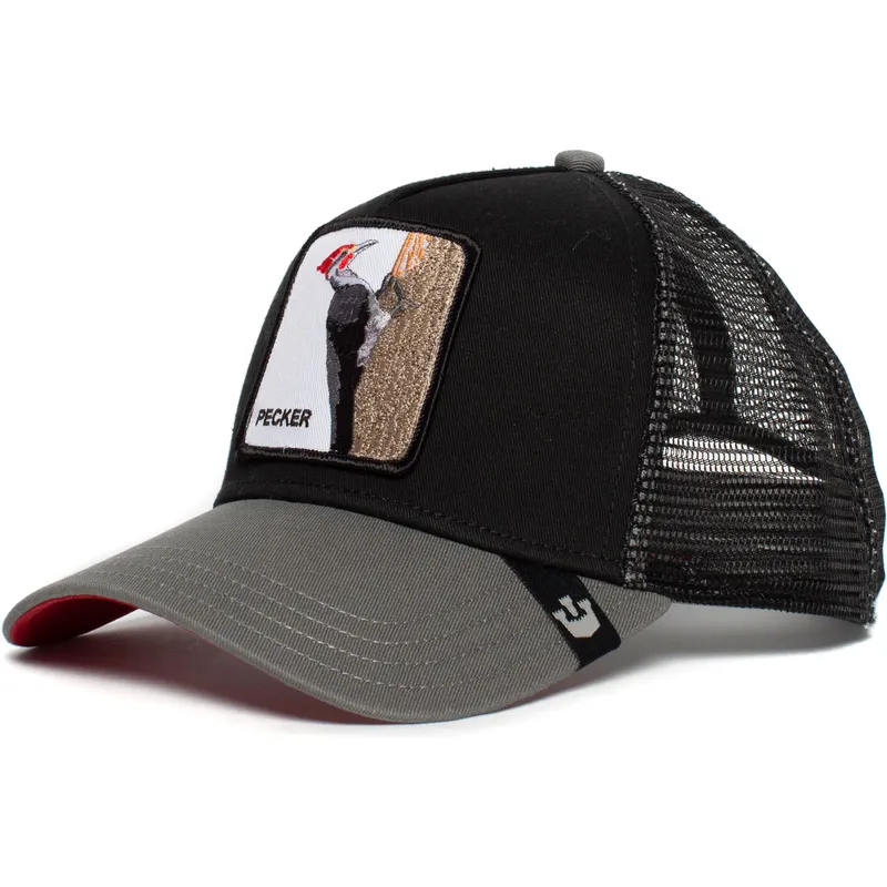 curva-snapback-the-farm-goorin-bros