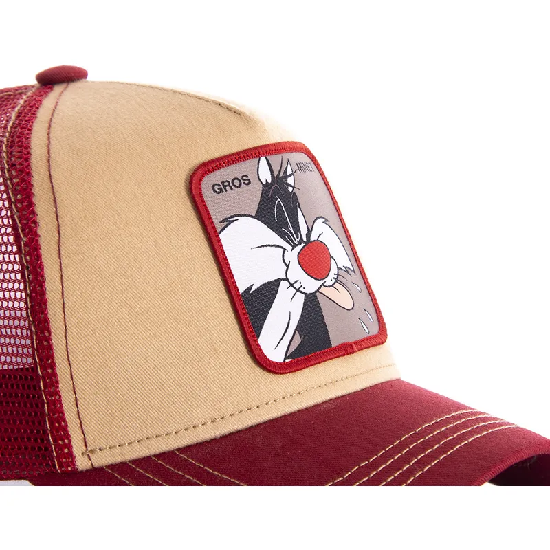 curva-snapback-silvestre-looney-tunes-capslab