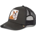 curva-snapback-the-farm-goorin-bros