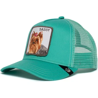 yorkshire-terrier-sassy-lady-goorin-bros