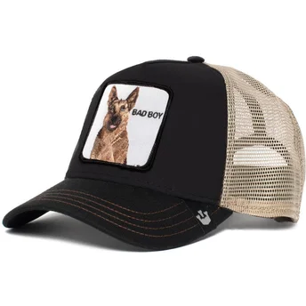 curva-snapback-the-farm-goorin-bros