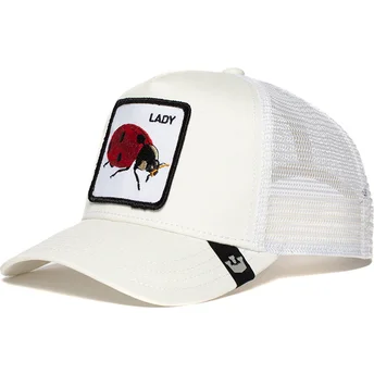 curva-snapback-the-farm-goorin-bros