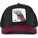 curva-snapback-the-farm-goorin-bros