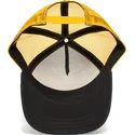 curva-snapback-the-farm-goorin-bros