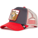 curva-snapback-the-farm-goorin-bros