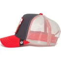 curva-snapback-the-farm-goorin-bros