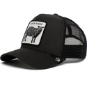 curva-snapback-the-farm-goorin-bros