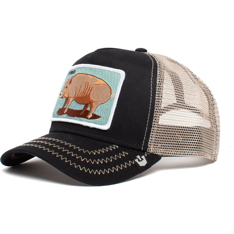 curva-snapback-the-farm-goorin-bros