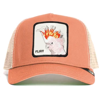 curva-snapback-the-farm-goorin-bros