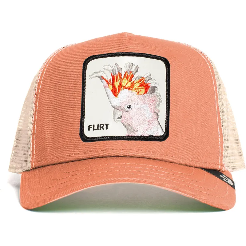 curva-snapback-the-farm-goorin-bros