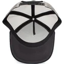curva-snapback-the-farm-goorin-bros