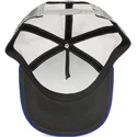 curva-snapback-the-farm-goorin-bros