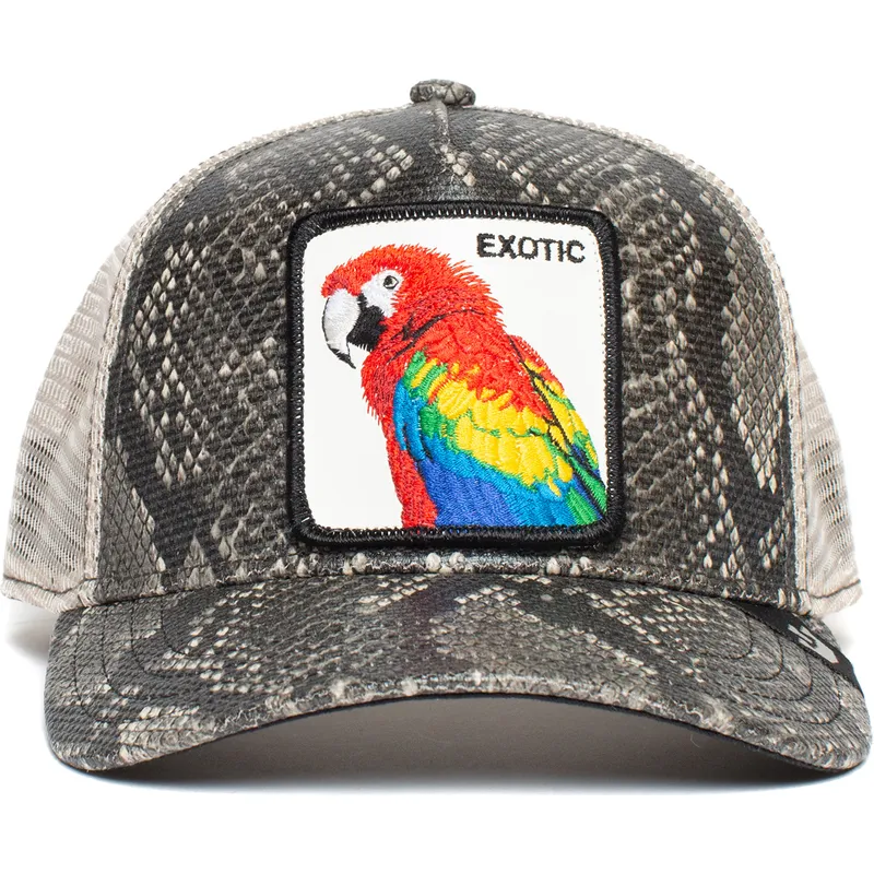 curva-snapback-the-farm-goorin-bros