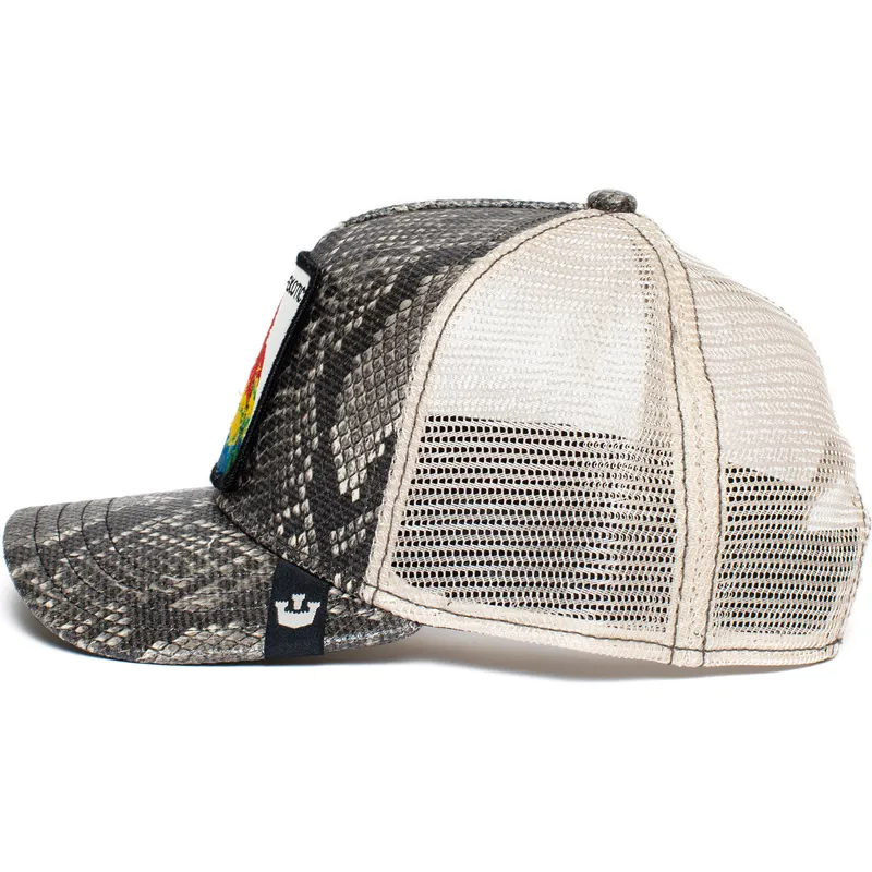 curva-snapback-the-farm-goorin-bros