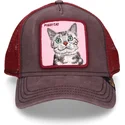 curva-snapback-the-farm-goorin-bros
