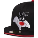 snapback-silvestre-space-jam-looney-tunes-difuzed