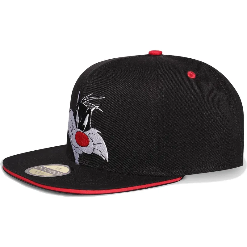 plana-snapback-difuzed