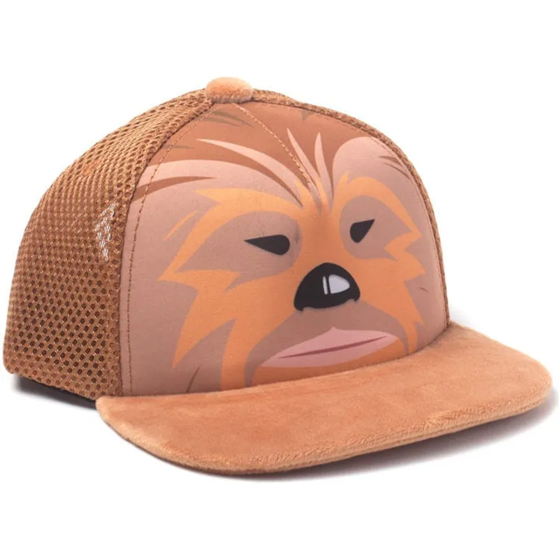 plana-snapback-difuzed
