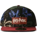 snapback-harry-potter-difuzed