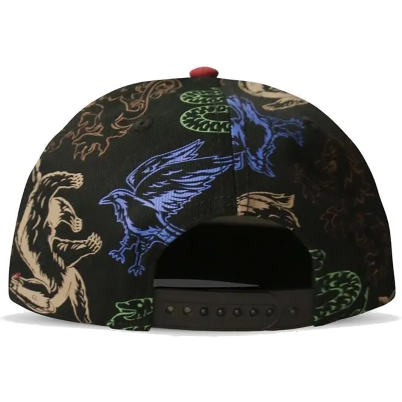 plana-snapback-difuzed