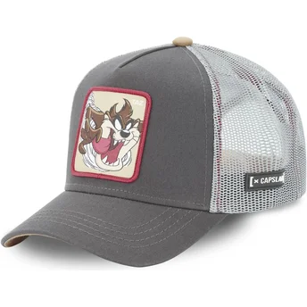 trucker-loo5-taz1-looney-tunes-capslab