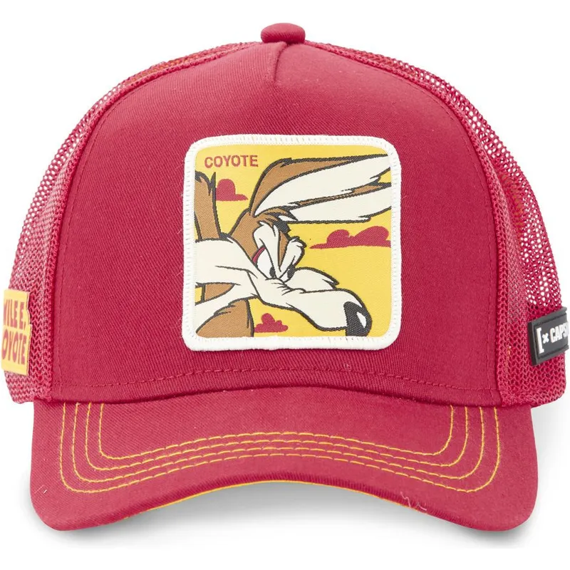 curva-snapback-looney-tunes-capslab