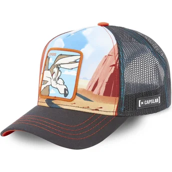 trucker-coyote-loo5-coy2-looney-tunes-capslab