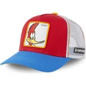 pajaro-loco-pec1-capslab