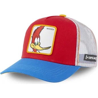 pajaro-loco-pec1-capslab