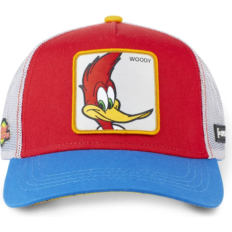 curva-snapback-capslab