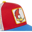 pajaro-loco-pec1-capslab