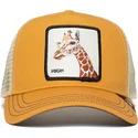 curva-snapback-the-farm-goorin-bros