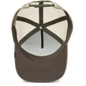 curva-snapback-the-farm-goorin-bros
